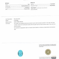 4.10 Ct. Paraiba Tourmaline from Mozambique Scan Report