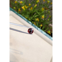 5.60 Ct. Garnet from Ceylon (Sri Lanka) Life Style