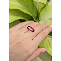 5.30 Ct. Garnet from Ceylon (Sri Lanka) Life Style