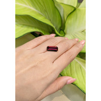 5.30 Ct. Garnet from Ceylon (Sri Lanka) Life Style