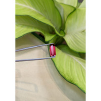 5.30 Ct. Garnet from Ceylon (Sri Lanka) Life Style