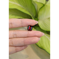 3.73 Ct. Garnet from Ceylon (Sri Lanka) Life Style