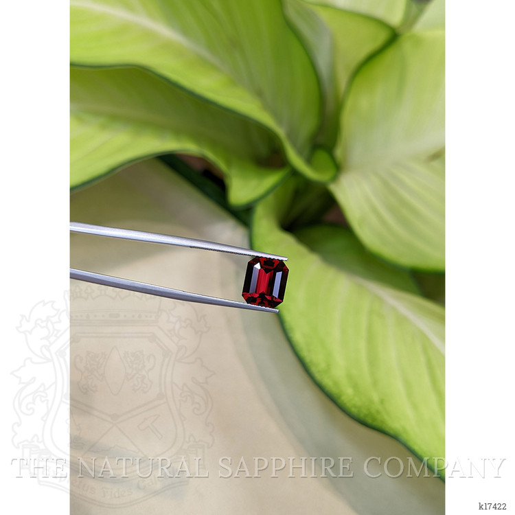 3.73 Ct. Garnet from Ceylon (Sri Lanka)