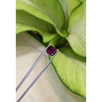 3.95 Ct. Garnet from Ceylon (Sri Lanka) Life Style