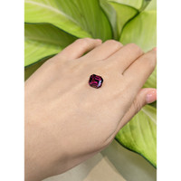 3.95 Ct. Garnet from Tanzania Life Style