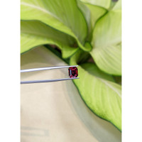 2.55 Ct. Garnet from Ceylon (Sri Lanka) Life Style