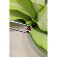 1.80 Ct. Purplish Pink Garnet from Ceylon (Sri Lanka) Life Style