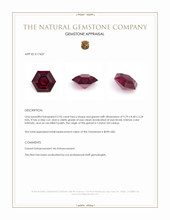 2.95 Ct. Garnet from Ceylon (Sri Lanka) Appraisal