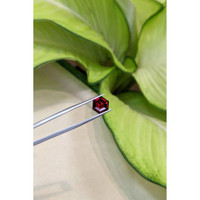 2.95 Ct. Red Garnet from Ceylon (Sri Lanka) Life Style