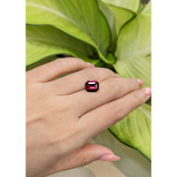 3.30 Ct. Garnet from Ceylon (Sri Lanka) Life Style