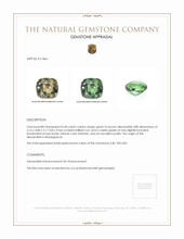 0.68 Ct. Alexandrite from Madagascar Appraisal