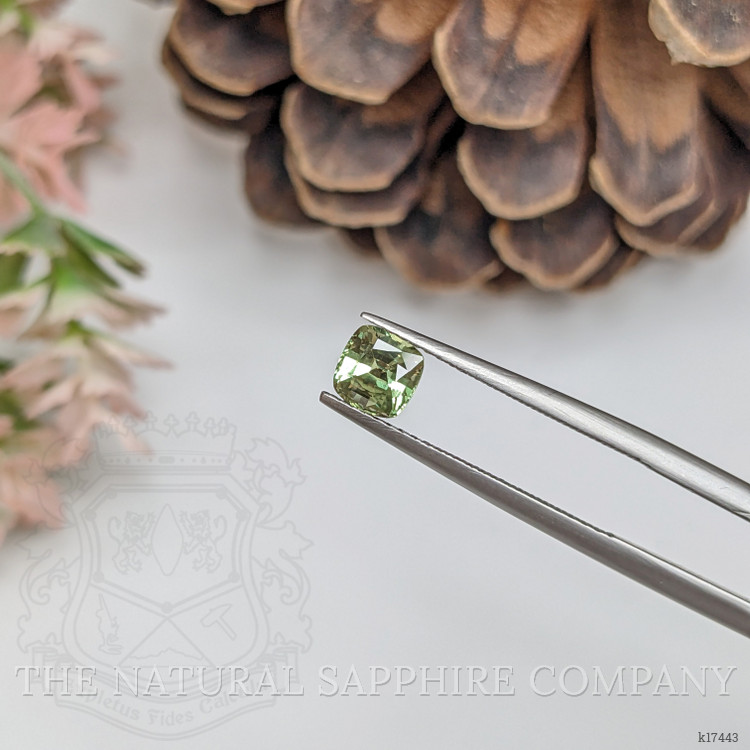 0.74 Ct. Alexandrite from Ceylon (Sri Lanka)