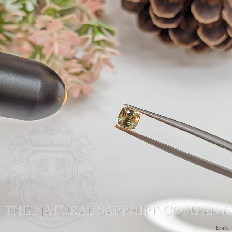 0.74 Ct. Alexandrite from Ceylon (Sri Lanka)