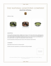 3.02 Ct. Alexandrite from Ceylon (Sri Lanka) Appraisal