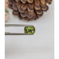 3.02 Ct. Alexandrite from Ceylon (Sri Lanka) Life Style