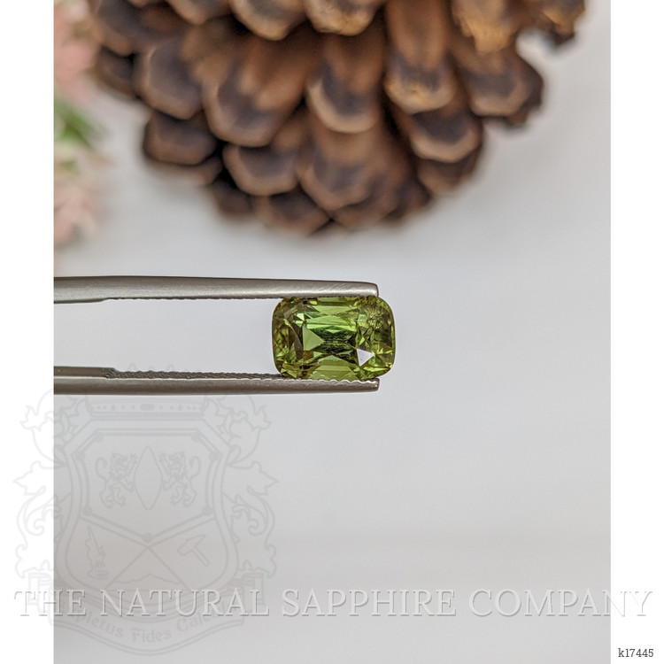 3.02 Ct. Alexandrite from Ceylon (Sri Lanka)