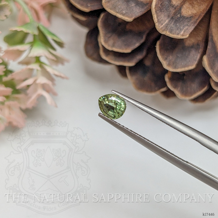 0.54 Ct. Alexandrite from Ceylon (Sri Lanka)