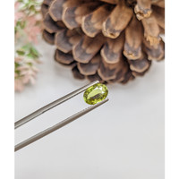 1.29 Ct. Alexandrite from Ceylon (Sri Lanka) Life Style