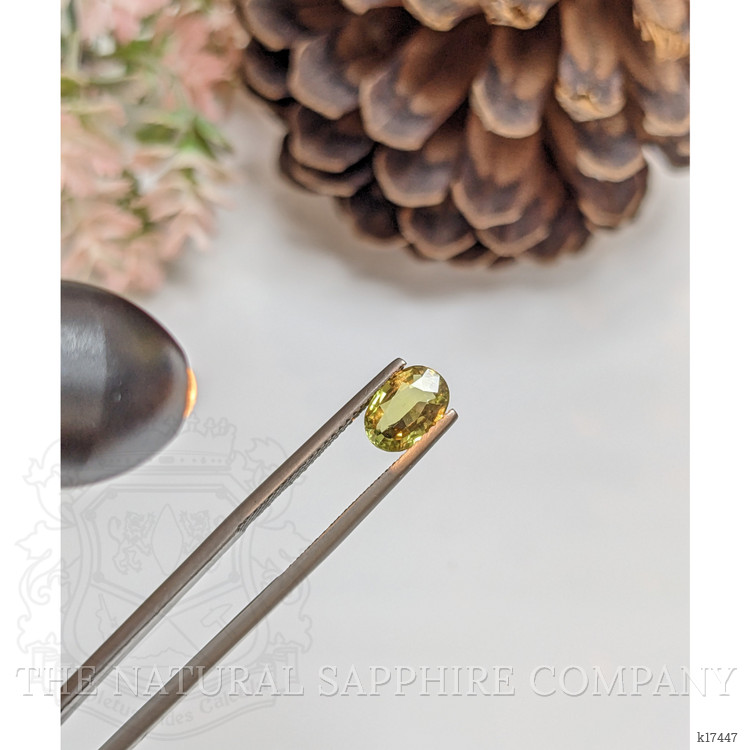 1.29 Ct. Alexandrite from Ceylon (Sri Lanka)