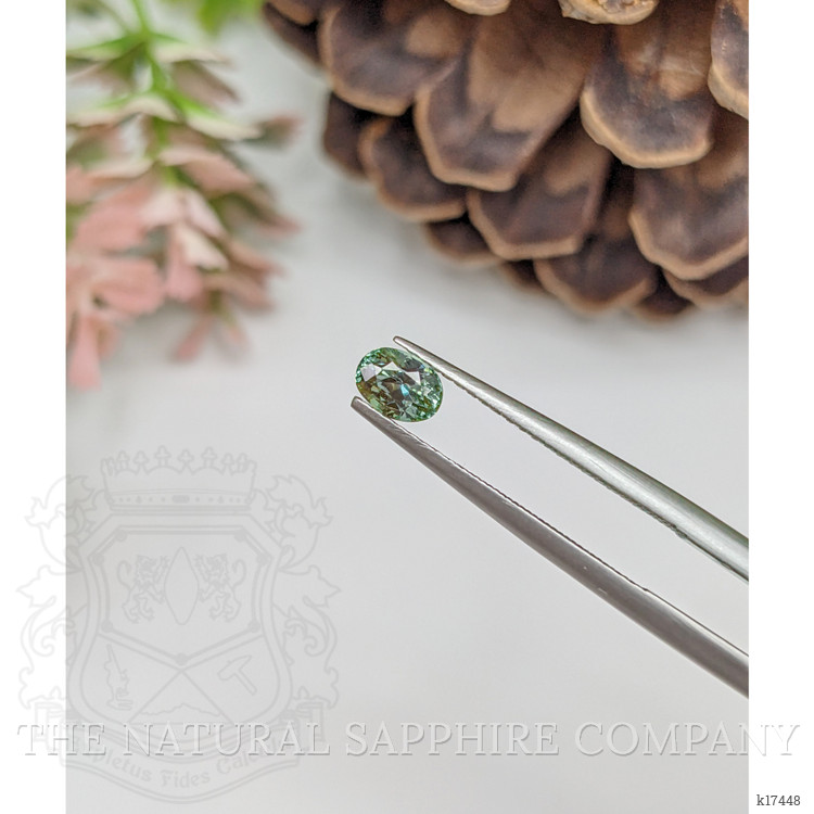 0.52 Ct. Alexandrite from Ceylon (Sri Lanka)