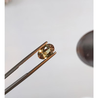 2.10 Ct. Alexandrite from Ceylon (Sri Lanka) Life Style