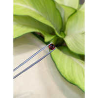 1.34 Ct. Garnet from Ceylon (Sri Lanka) Life Style