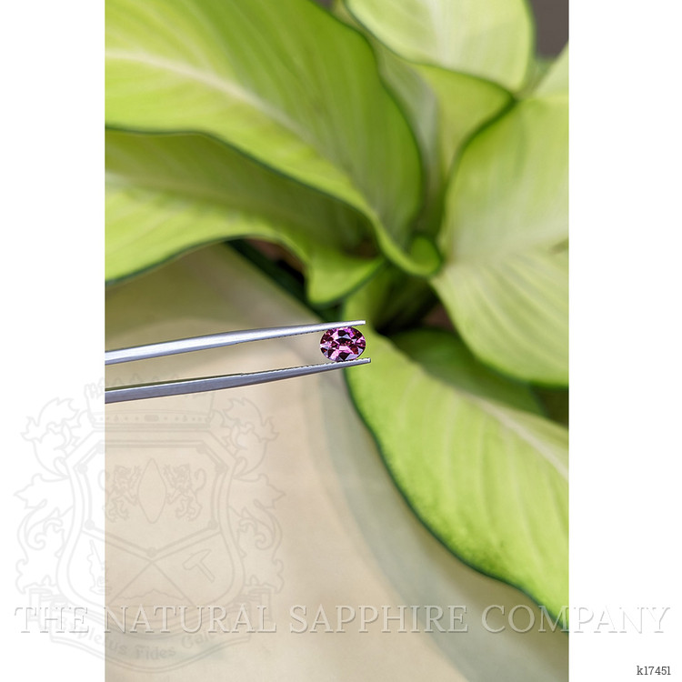 1.04 Ct. Garnet from Ceylon (Sri Lanka)