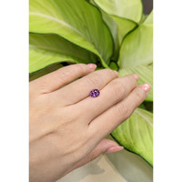 1.41 Ct. Garnet from Ceylon (Sri Lanka) Life Style