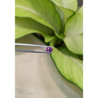 1.41 Ct. Garnet from Ceylon (Sri Lanka) Life Style