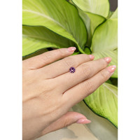 1.00 Ct. Garnet from Ceylon (Sri Lanka) Life Style