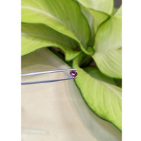 1.00 Ct. Garnet from Ceylon (Sri Lanka) Life Style
