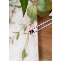 0.89 Ct. Garnet from Ceylon (Sri Lanka) Life Style