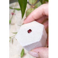 0.89 Ct. Garnet from Ceylon (Sri Lanka) Life Style