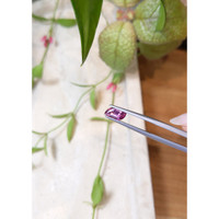 0.86 Ct. Garnet from Ceylon (Sri Lanka) Life Style