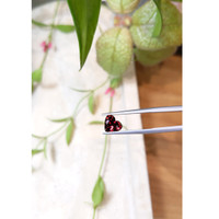 1.60 Ct. Garnet from Ceylon (Sri Lanka) Life Style