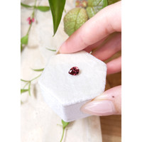 1.15 Ct. Garnet from Ceylon (Sri Lanka) Life Style