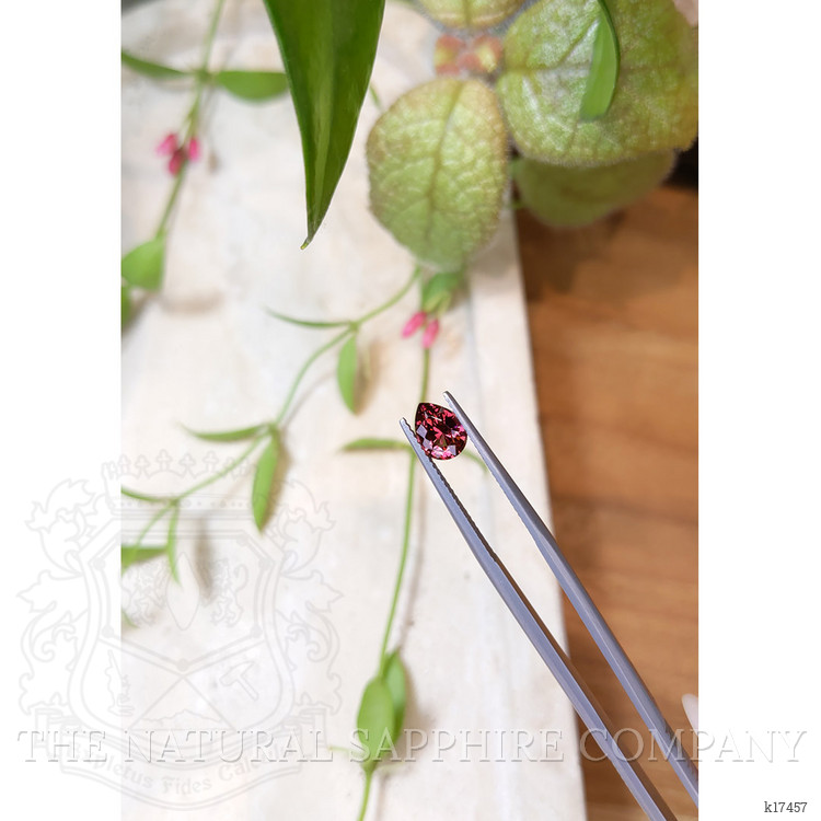 1.15 Ct. Garnet from Ceylon (Sri Lanka)