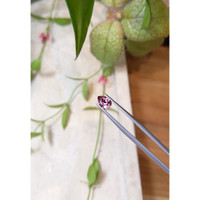 1.20 Ct. Garnet from Ceylon (Sri Lanka) Life Style