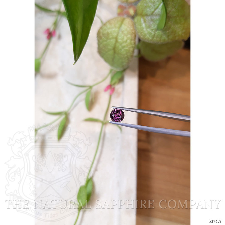 1.06 Ct. Garnet from Ceylon (Sri Lanka)