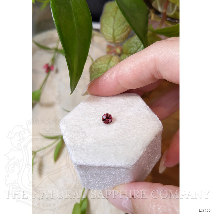 0.70 Ct. Garnet from Ceylon (Sri Lanka)