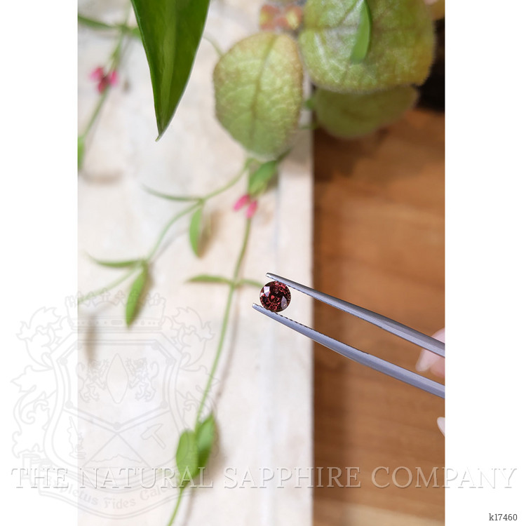 0.70 Ct. Garnet from Ceylon (Sri Lanka)