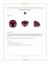 0.76 Ct. Garnet from Ceylon (Sri Lanka) Appraisal
