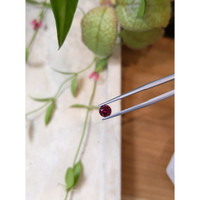 0.76 Ct. Garnet from Ceylon (Sri Lanka) Life Style
