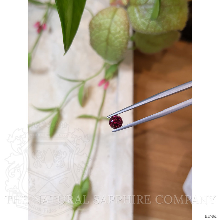 0.76 Ct. Garnet from Ceylon (Sri Lanka)