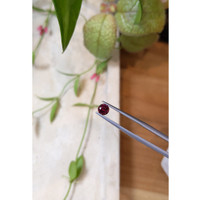 0.76 Ct. Garnet from Ceylon (Sri Lanka) Life Style