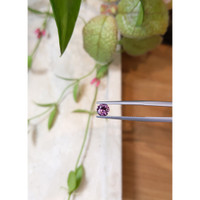 0.70 Ct. Garnet from Tanzania Life Style