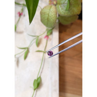 0.59 Ct. Garnet from Ceylon (Sri Lanka) Life Style