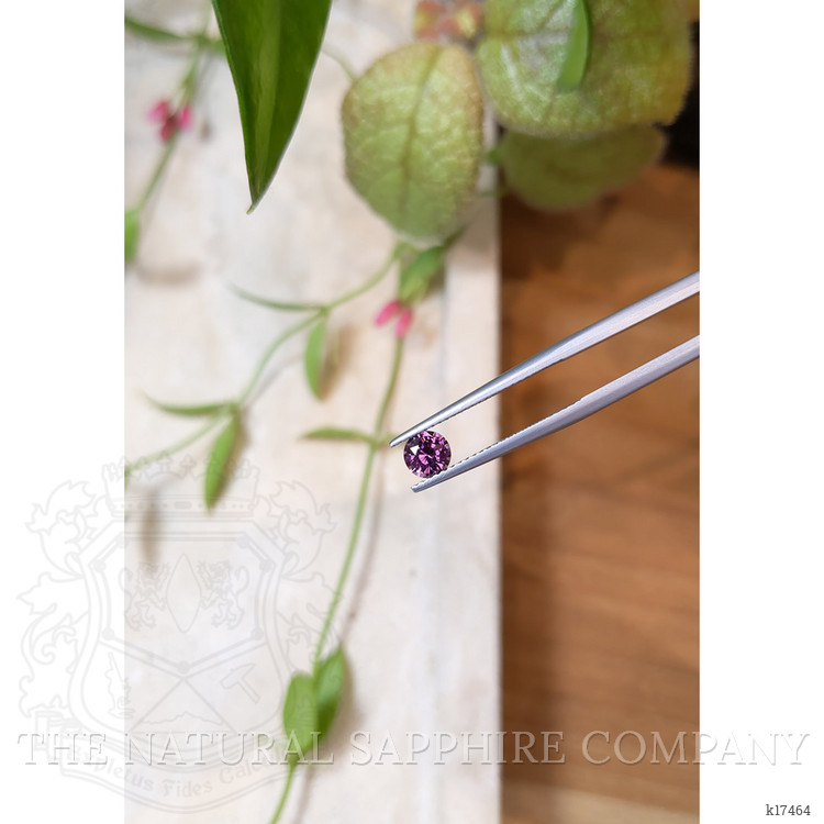 0.59 Ct. Garnet from Ceylon (Sri Lanka)