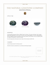 2.23 Ct. Garnet from Ceylon (Sri Lanka) Appraisal