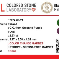 2.23 Ct. Garnet from Ceylon (Sri Lanka) Scan Report